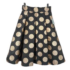 Anthropologie Moulinette Soeurs Metallic Polka Dot Pleated Skirt Size 2P